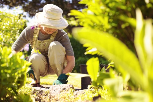 Reliable gardeners in Leamouth creating a balanced and attractive garden