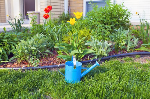 Cleared garden space in Leamouth after removing overgrowth and debris