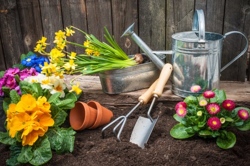 Professional lawn and border care for Leamouth outdoor spaces
