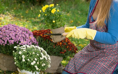 Public liability insurance and protective gardening equipment