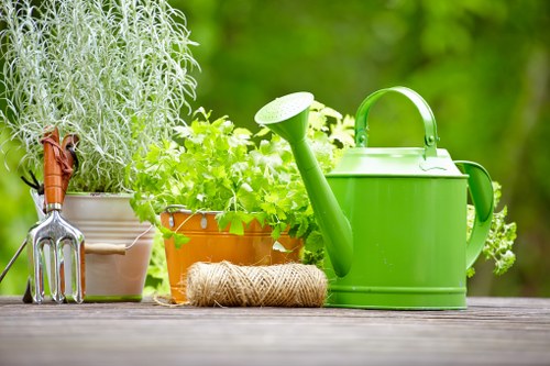 Healthy green lawn care in Leamouth with neat grass maintenance