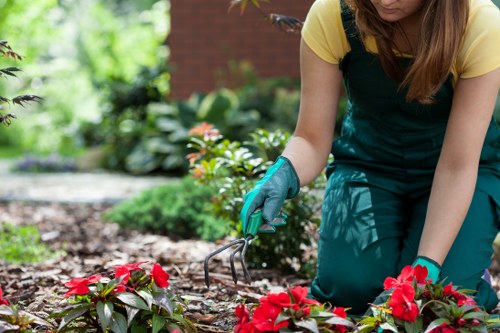 Urban planting and paving for Leamouth outdoor spaces