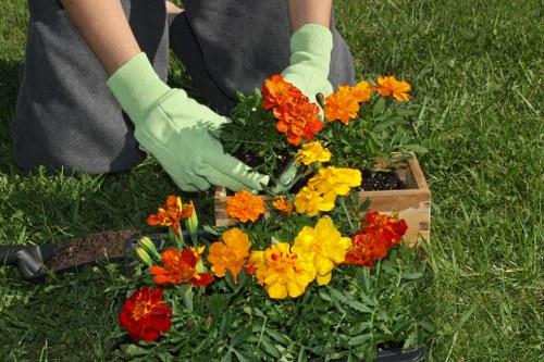 Seasonal lawn care in Leamouth for a tidy garden lawn