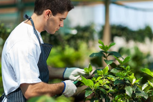 Accessibility request support for Gardeners Leamouth