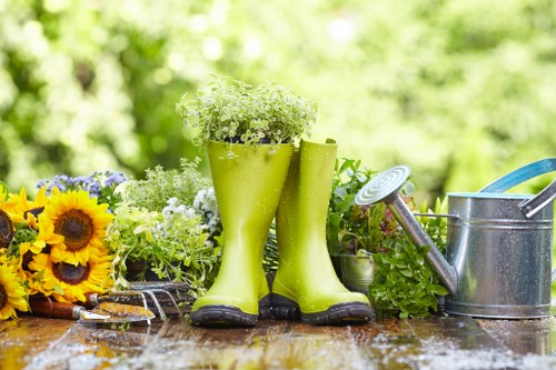 Local lawn maintenance in Leamouth for improved turf health