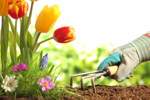 Free quote assessment for a shared garden clearance