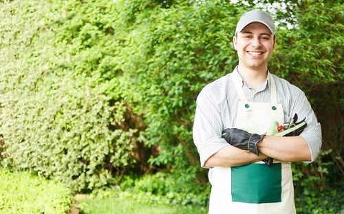 Professional grass cutting service for Leamouth outdoor spaces