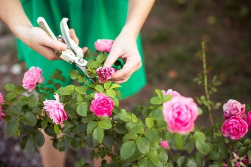 Outdoor garden care with tools and greenery