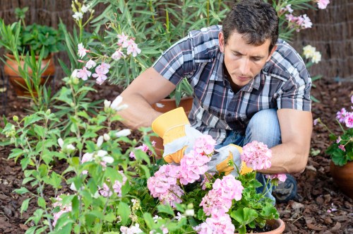 Seasonal garden maintenance in Leamouth with pruning and border care