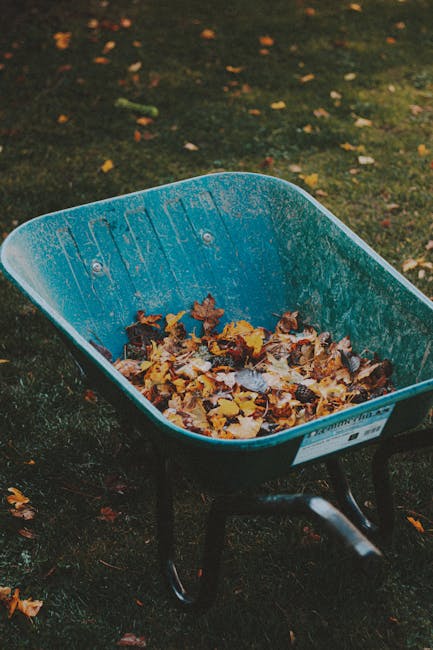 A person wearing a blue raincoat with a hood, black trousers, and dark footwear is engaged in gardening on a well-maintained lawn during rainy weather. They are using a handheld rake to gather fallen 
