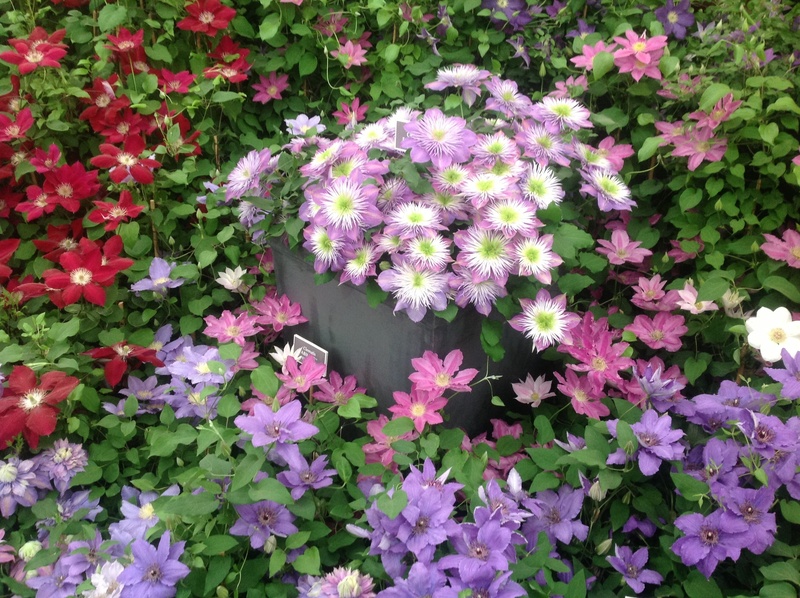 garden property