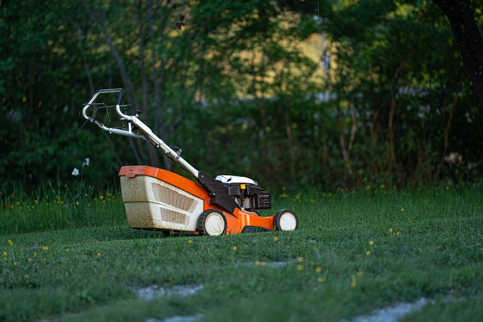 A close-up view of an orange and white grass cutting machine situated on a well-maintained lawn, with freshly trimmed grass and scattered yellow flowers. In the background, there is a lush garden with