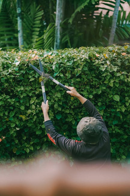 A close-up view of an orange and white grass cutting machine situated on a well-maintained lawn, with freshly trimmed grass and scattered yellow flowers. In the background, there is a lush garden with